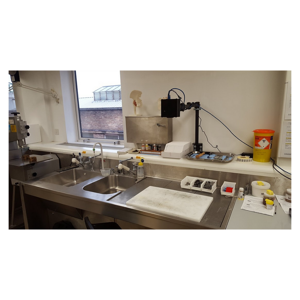 Küçük resim: Macro Imaging System