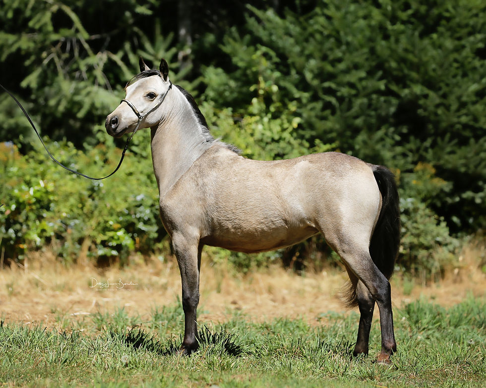 Longbarn Pharm Rockin The Dress