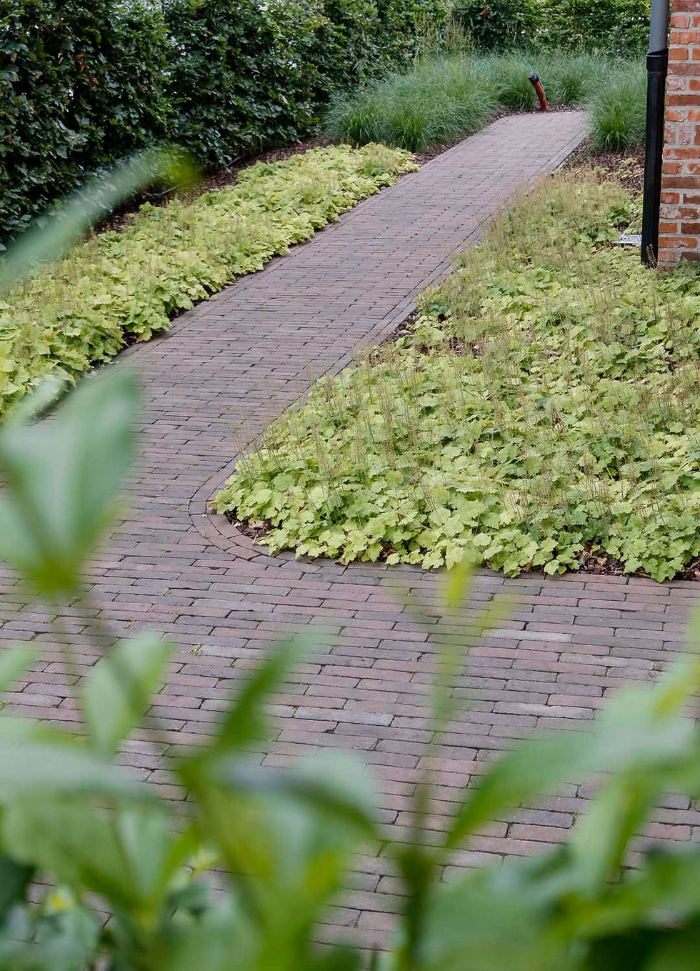 pad naar de achtertuin