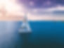 Sunset Bliss Trip - Habitat Bonaire