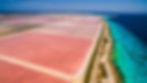 Salt-Bonaire-south-side-_Web