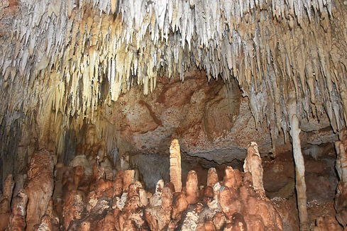 Captain-Dons-Habitat-Bonaire-Cavetours2.jpg
