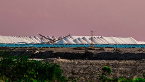 5 Best Spots on Bonaire for Instagram Photos