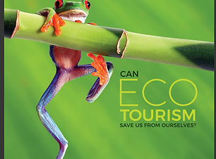 Screenshot 2019-01-25 12.17.47.png