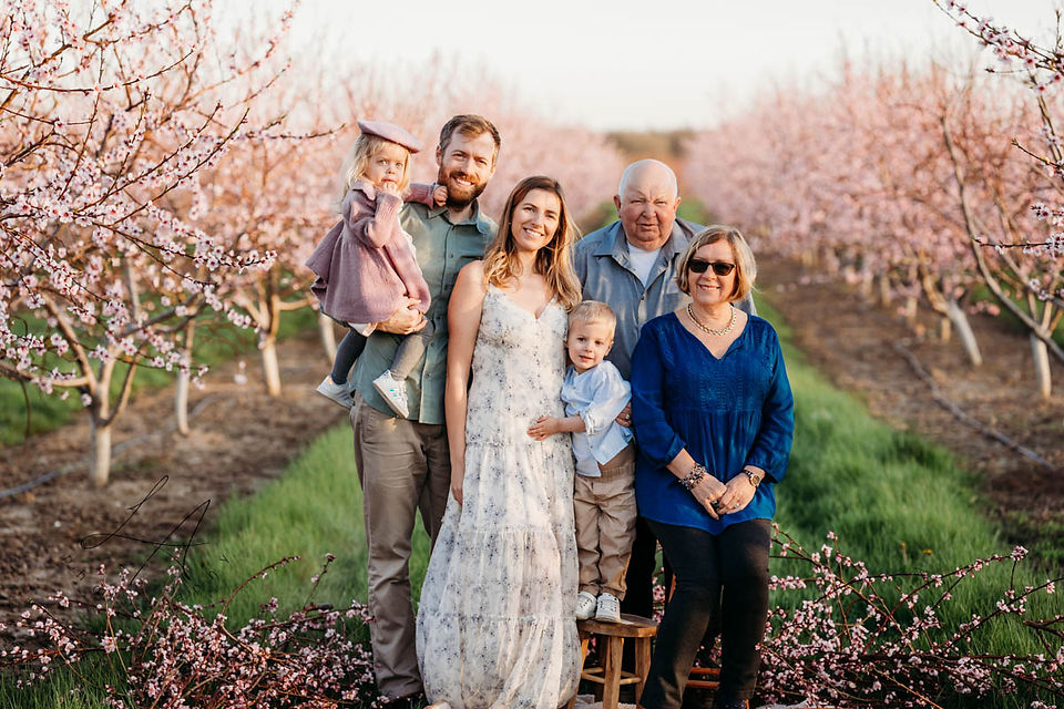 Extended family photography session among the pink blossoms in Niagara on the Lake