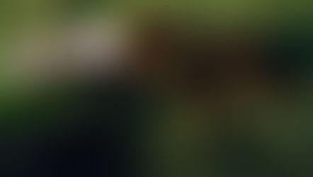 Starship Troopers: Ultimate Bug War - Would You Like To Play More? (Review)