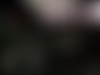 Rise Of Ronin - Sekirecommended (Review)