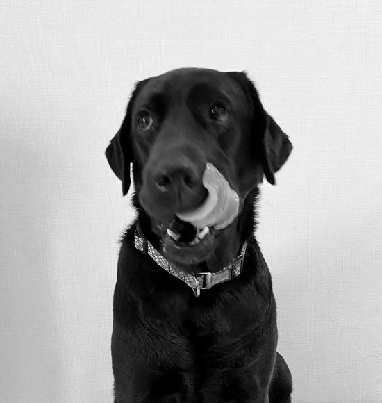 chalk studio team member