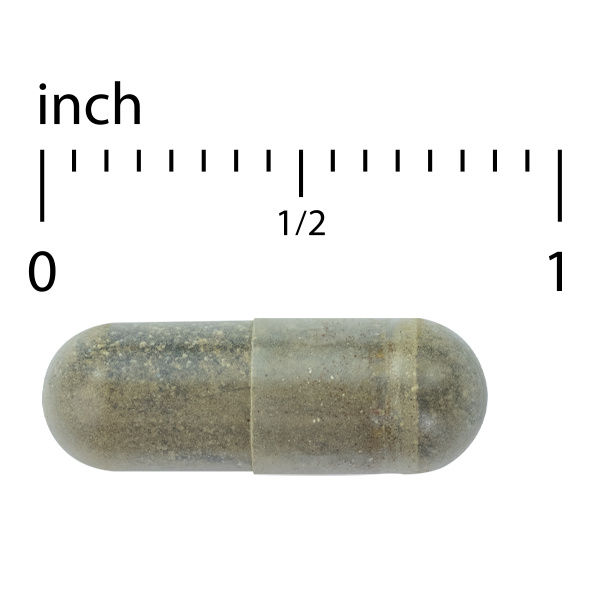 Thumbnail: Europharma "Terry Naturally" Andrographis EP80™ with Umckaloabo 60 Caps
