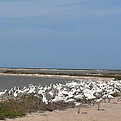 IMG_2903.JPG