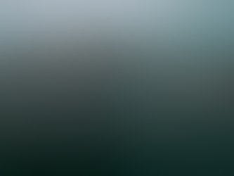 Sardine Run - Mackerel & Sharks -