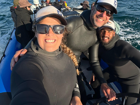 Sardine Run 2025: A Roadside Debrief - Words from the Wild: Steve Benjamin, Samantha Sivewright & Danny Jegels