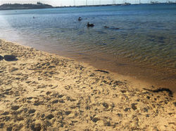 Mornington Beach