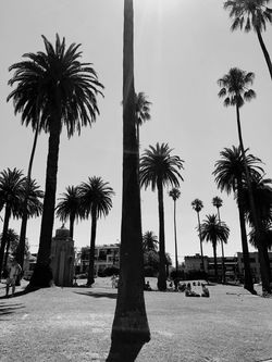 St Kilda