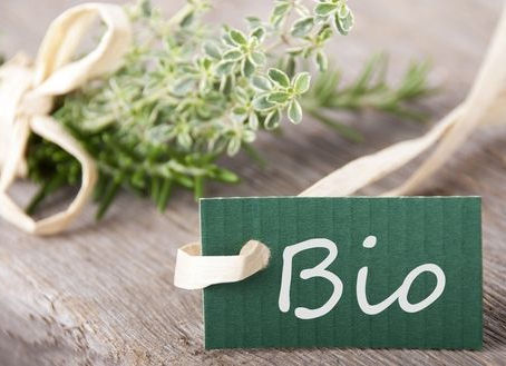 Wann ist Bio wirklich bio? 