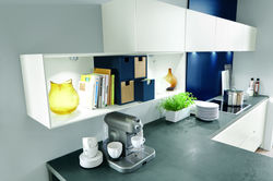 Contemporary Kitchen Cabinets