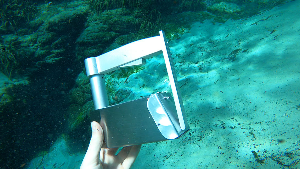 Dive 2 4k.00_02_54_25.Still012.jpg