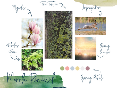 March renewal sketchbook inspiration kat healy shorelark watercolour online tutorials