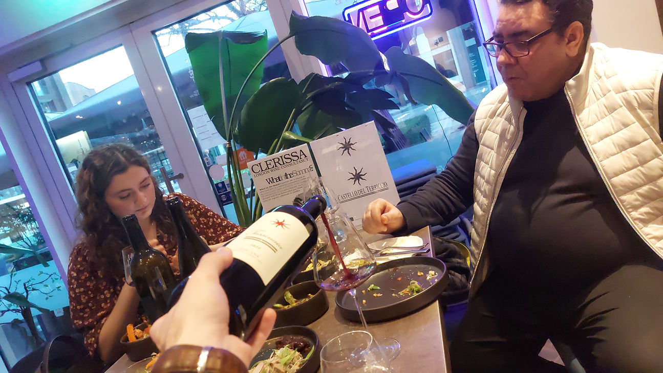 Castello del Terriccio 1.jpg