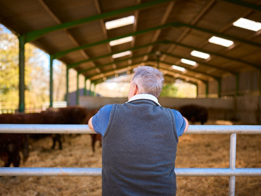 New Sustainable Farming Incentive Announced: What It Means for Farmers