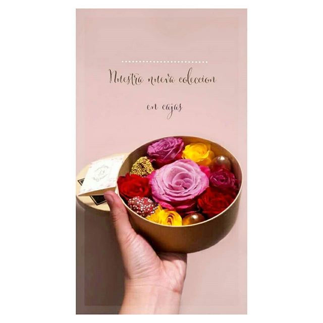 Diferentes colores, tamaños y sobre todo diferentes motivos para regalar y sorprender!!_🌸🌹🌸👑_Ate