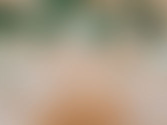 Bom ânimo no momento da adversidade