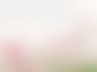 Faça a próxima coisa