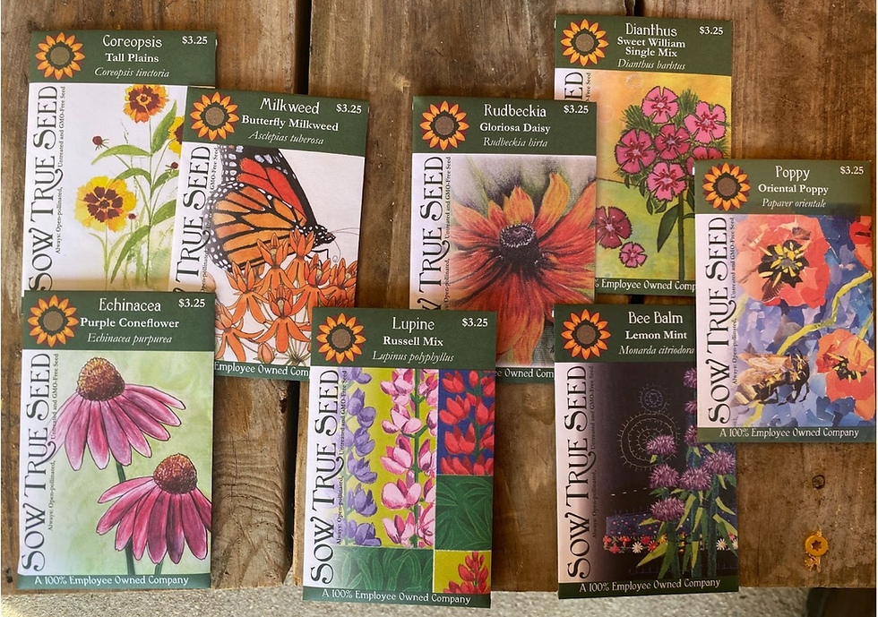 Seed packets on wooden table featuring colorful flower illustrations and text: Sow True Seed, $3.25, plant names. Bright and vibrant.