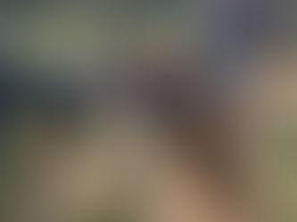 People work together near a muddy creek, surrounded by trees, on a sunny day. A person wears gloves and uses a tool to move rocks.