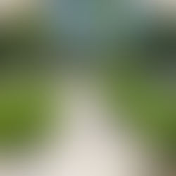 Garden center lane with rows of potted plants under a metal archway. Gravel path and lush greenery. Sunny day with trees in the background.