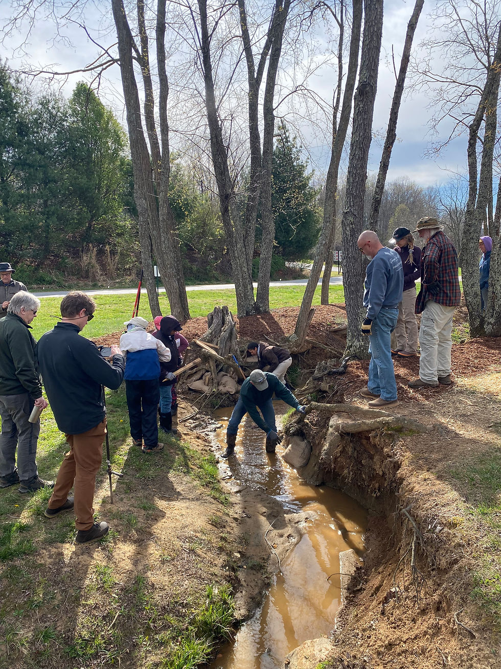 People work together near a muddy creek, surrounded by trees, on a sunny day. A person wears gloves and uses a tool to move rocks.