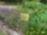 Creating Beautiful and Beneficial Wildlife Habitats