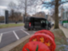 Parking front (tomato3).jpg