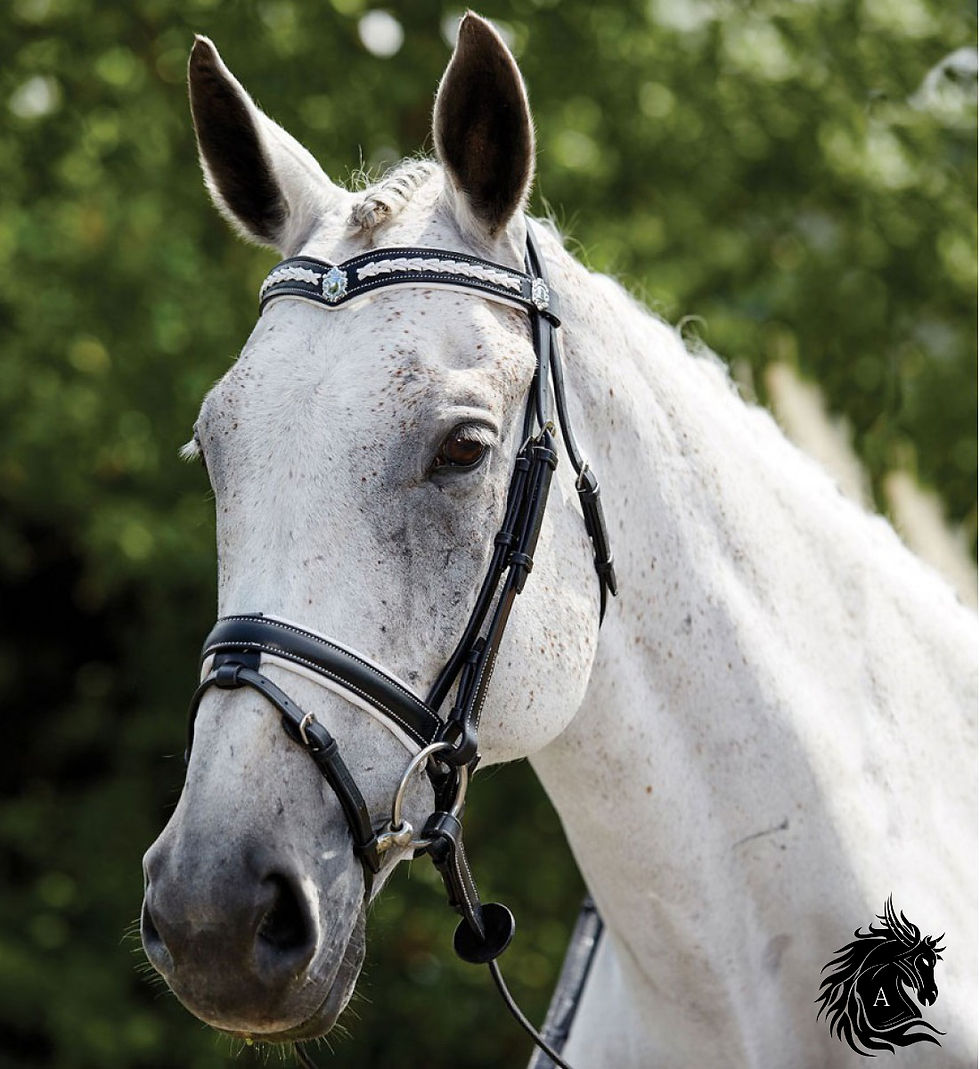 Arisha's White Plaited Hanoverian Bridle