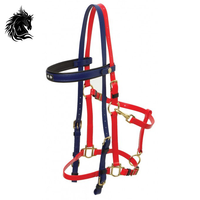 Arisha's Deluxe Endurance Bridle