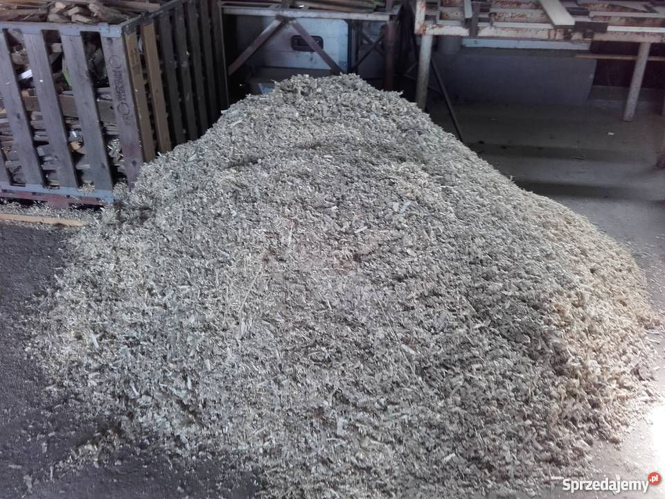 Ściółka z trocin sosnowych