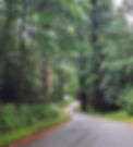 20250625_103236_edited.jpg