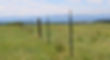 western fencing BMD header.jpg