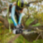 rborist using an EGO top-handle chainsaw while working in a tree with safety ropes