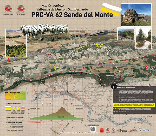 Senda del Monte. Valbuena de Duero. San Bernardo