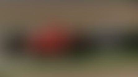 Throwback Thursday: The Time Three Drivers Qualified On Pole