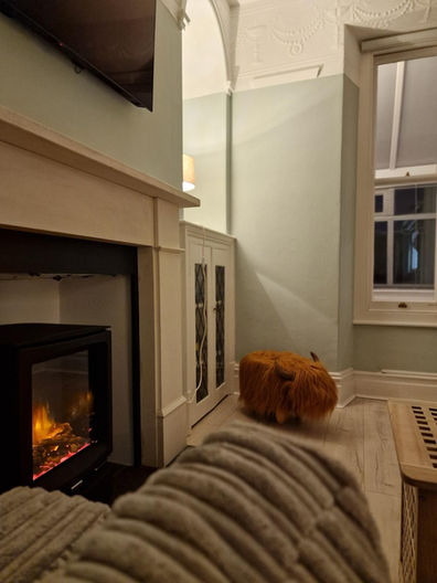 Lit fire in sitting room