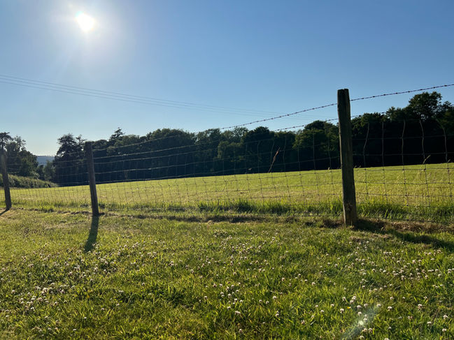 Views across the fields