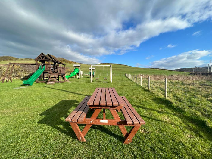 Picnic Table and Play Area