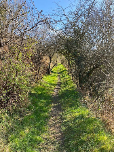 Country Path for Walking