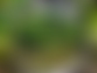 Be True to Yourself: Do Other People's Opinions of You Matter?