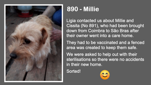 Screenshot 2023-06-26 at 19.36.05.png