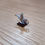 Thumbnail: handmade miniature genie lamp on wood stand