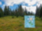 Thumbnail: Big Sky Bloom Digital Download
