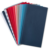 Red & Blue Version 3.jpg